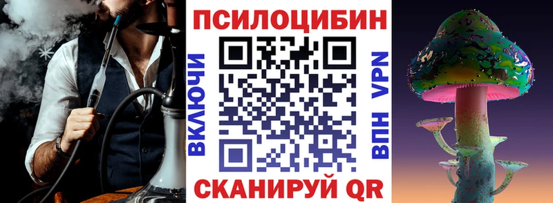 Псилоцибиновые грибы Psilocybine cubensis  Сурск 